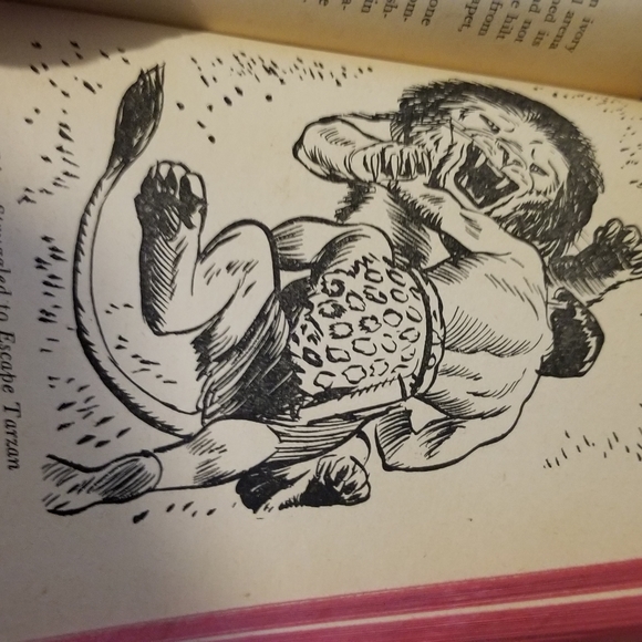 Old Tarzan Book - Picture 3 of 5